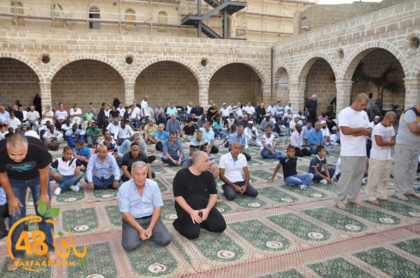 3ed ad7a ma7modiya (19).JPG